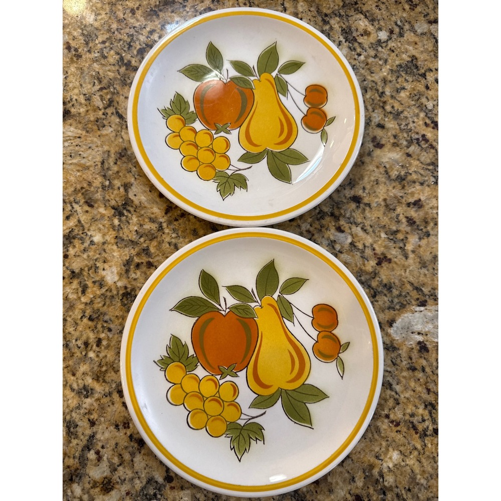 Mikasa Cera-Stone Fruit Salad D1302 Plates‎ Set of 2 Vintage Japan 7.5 Inch MCM